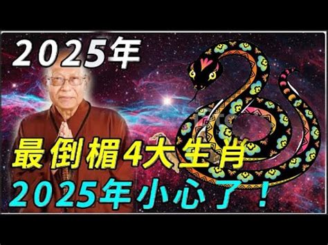 2025是什麼年|【2025 是什麼年】直擊2025！生肖運勢、干支紀年全。